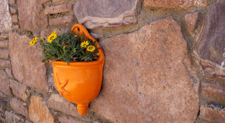 Flower pots hanging on the wall. Orangeの写真素材