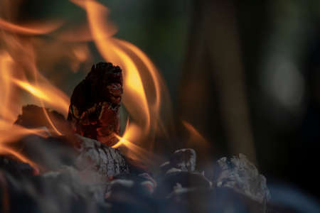 Close up of flaming wood embers