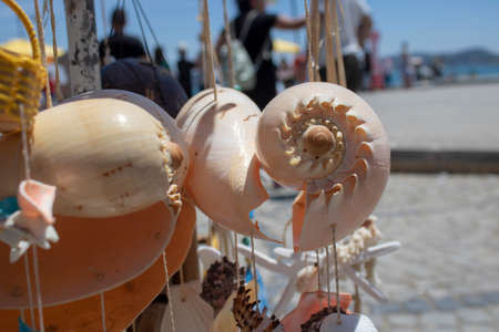 Snail sea shell close-up. It is sold as an ornament in the tourist area.