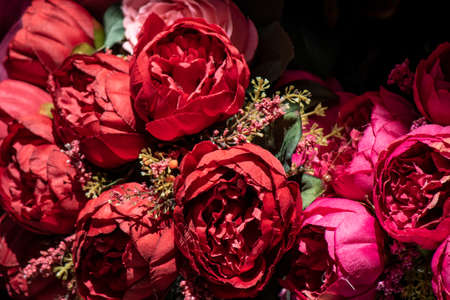 Close up shoot of bunch of roses.の写真素材
