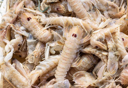 Photo of squilla mantis seafood on the bench. Taken in the supermarket.の写真素材
