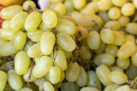 Many berries of white grapes. The photo was taken in Manav section.の写真素材