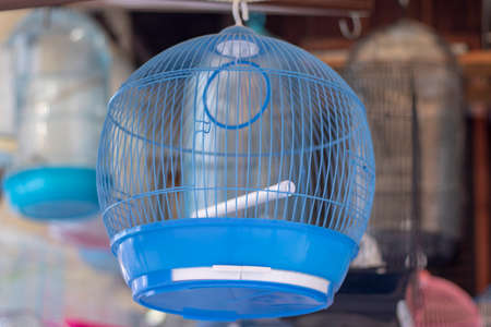 Empty sale bird cages. They have different colors and designs.の写真素材