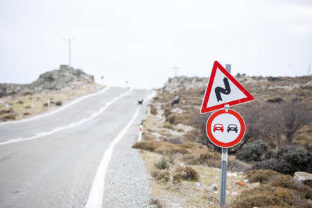 Curvy road sign and single lane road. Close-up and signboard bent. Photographed in winter with cloudy weather.の写真素材