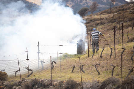 Stubble fire and farmer in the field. Farmers checking smoke from the fire. Canakkale, Turkey.の写真素材
