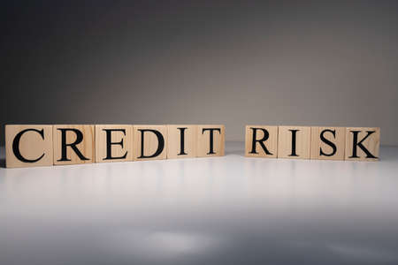 The word credit risk from wooden blocks. Business and banking concept. Spot light on white background.の写真素材