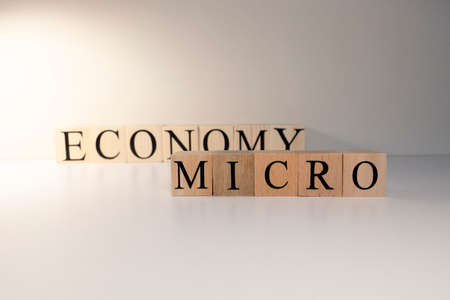 Business concept. Macro, economy, risk words are written with wooden cubes. The studio was shot under spot light.の写真素材