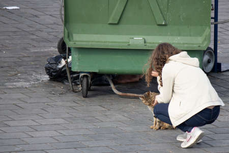 Istanbul, Turkey - October-27.2019: A woman who loves homeless cat next to the green trash can.のeditorial素材