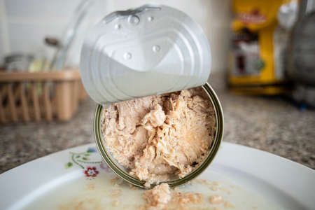 Canned tuna in a porcelain plate and on the kitchen counter. Spilled on the plate.