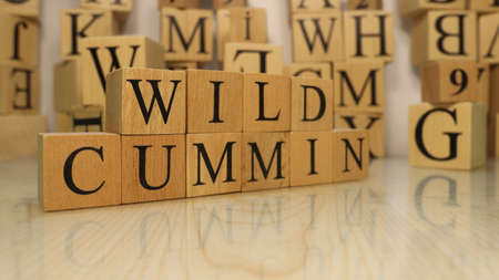 The word wild cummin was created from wooden letter cubes. Gastronomy and spices. close up.の写真素材