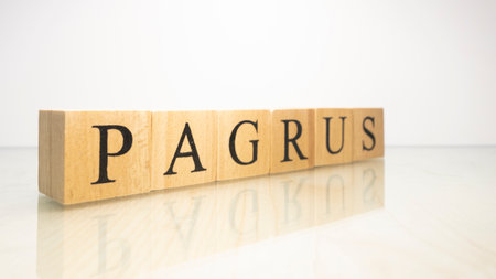 The word Pagrus was created from wooden letter cubes. Seafood and food. close up.の写真素材
