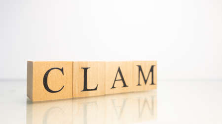 The name Clam was created from wooden letter cubes. Seafood and food. close up.
