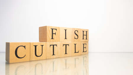 The name Cuttlefish was created from wooden letter cubes. Seafood and food. close up.の写真素材