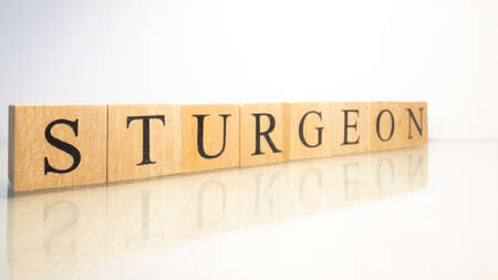 The name Sturgeon was created from wooden letter cubes. Seafood and food. close up.の写真素材