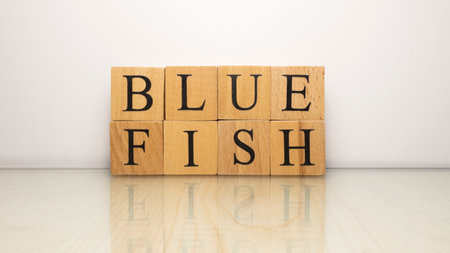 The name Blue fish was created from wooden letter cubes. Seafood and food. close up.の写真素材