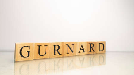 The name Gurnard was created from wooden letter cubes. Seafood and food. close up.の写真素材