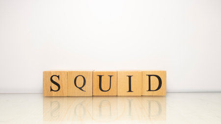 The name Squid was created from wooden letter cubes. Seafood and food. close up.の写真素材