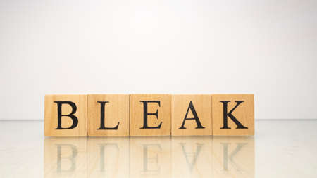 The name Bleak was created from wooden letter cubes. Seafood and food. close up.の写真素材