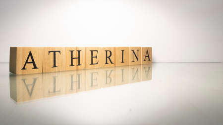 The name Atherina was created from wooden letter cubes. Seafood and food. close up.の写真素材