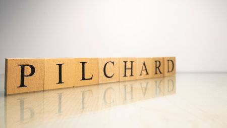 The name Pilchard was created from wooden letter cubes. Seafood and food. close up.の写真素材