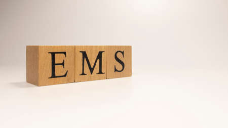 European Monetary System ,EMS, its name was created from wooden letter cubes. Economics and finance. close up.の写真素材