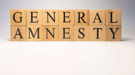 General Amnesty was created from wooden cubes. News and journalism concepts. close up.の写真素材