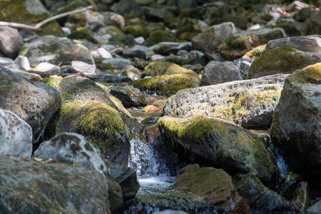 A stream flowing through the stones. Mossy stones. clean drinking water.