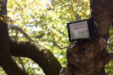 A projector lamp placed on a tree. close upの写真素材