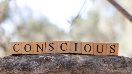 The word conscious was created from wooden blocks. Sociology and life. close upの写真素材