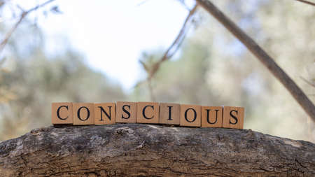 The word conscious was created from wooden blocks. Sociology and life. close upの写真素材