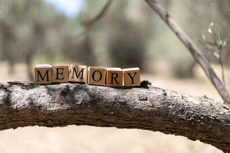 The word MEMORY was created from wooden cubes. Taken outside on a tree branch. close upの写真素材