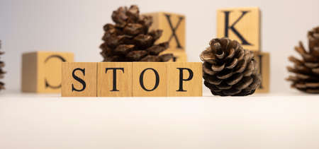 The stop was created from wooden cubes. pine cone concept. concept. White background and close-up.の写真素材
