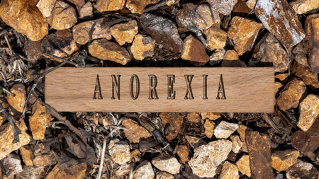anorexia disease. Written on wooden surface. Wooden frame on pieces of stone. Diseases and treatmentsの写真素材