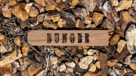 Bungee written on wooden surface. Background stone pattern created.の写真素材