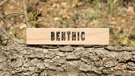 benthic Written on wooden surface. Frame on tree branch. Ecology and environmentの写真素材
