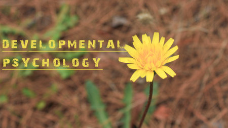 Developmental psychology sentence was written. Background of yellow flower.の写真素材