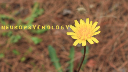 Neuropsychology sentence written. Background of yellow flower.の写真素材