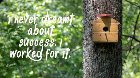 I never dreamt about success I worked for it. success slogans.の写真素材
