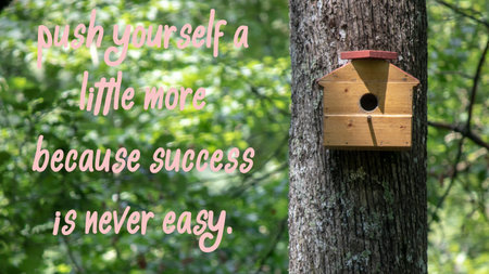 Push yourself a little more because success is never easy. success slogans.の写真素材