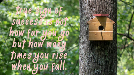 True sign of success is not how far you go but how many times you rise when you fall. success slogans.の写真素材