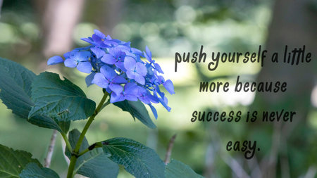 Push yourself a little more because success is never easy. success slogans.の写真素材