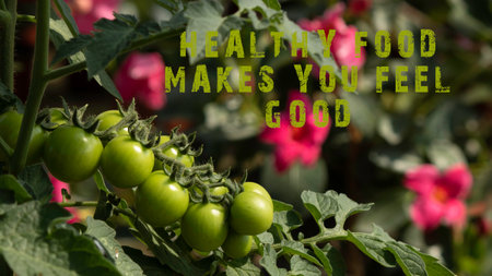 Healthy food makes you feel good. sentence. Fresh fruits and vegetables.の写真素材