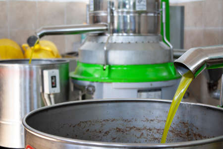 Extraction of oil from olives in a modern farm, cold-press factory after the olive harvesting, fresh oil flowing in the binの写真素材