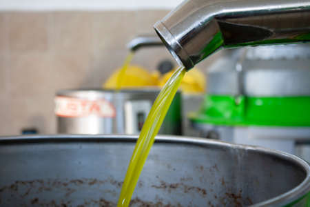 Extraction of oil from olives in a modern farm, cold-press factory after the olive harvesting, fresh oil flowing in the bin.の写真素材