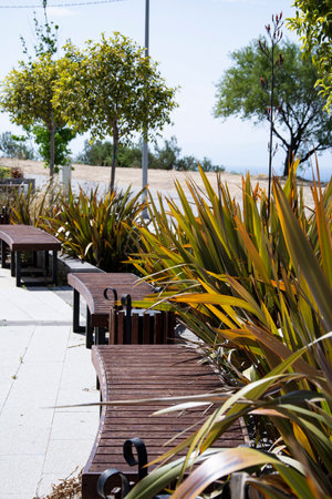 Wooden bench and tropical plants on the terrace of a park with a sea view. Landscape design at the recreation park.の写真素材