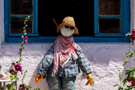 Scarecrow and beautiful purple flowers in front of the house, a blue windowの写真素材