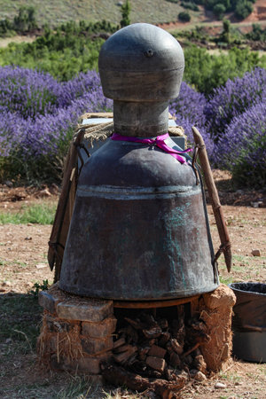 Big old metal churn in a lavender field. Traditional barrel in the lavender field