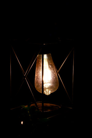 Lantern on the street in the night. street lamp Lantern in a dark garden with a plant on the foregroundの写真素材