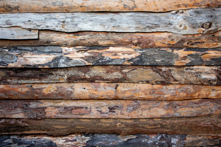 Old wood background or texture. Abstract background of old wood texture. Old wood wall texture.の写真素材