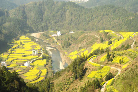 Rape and rural pastoral scenery
